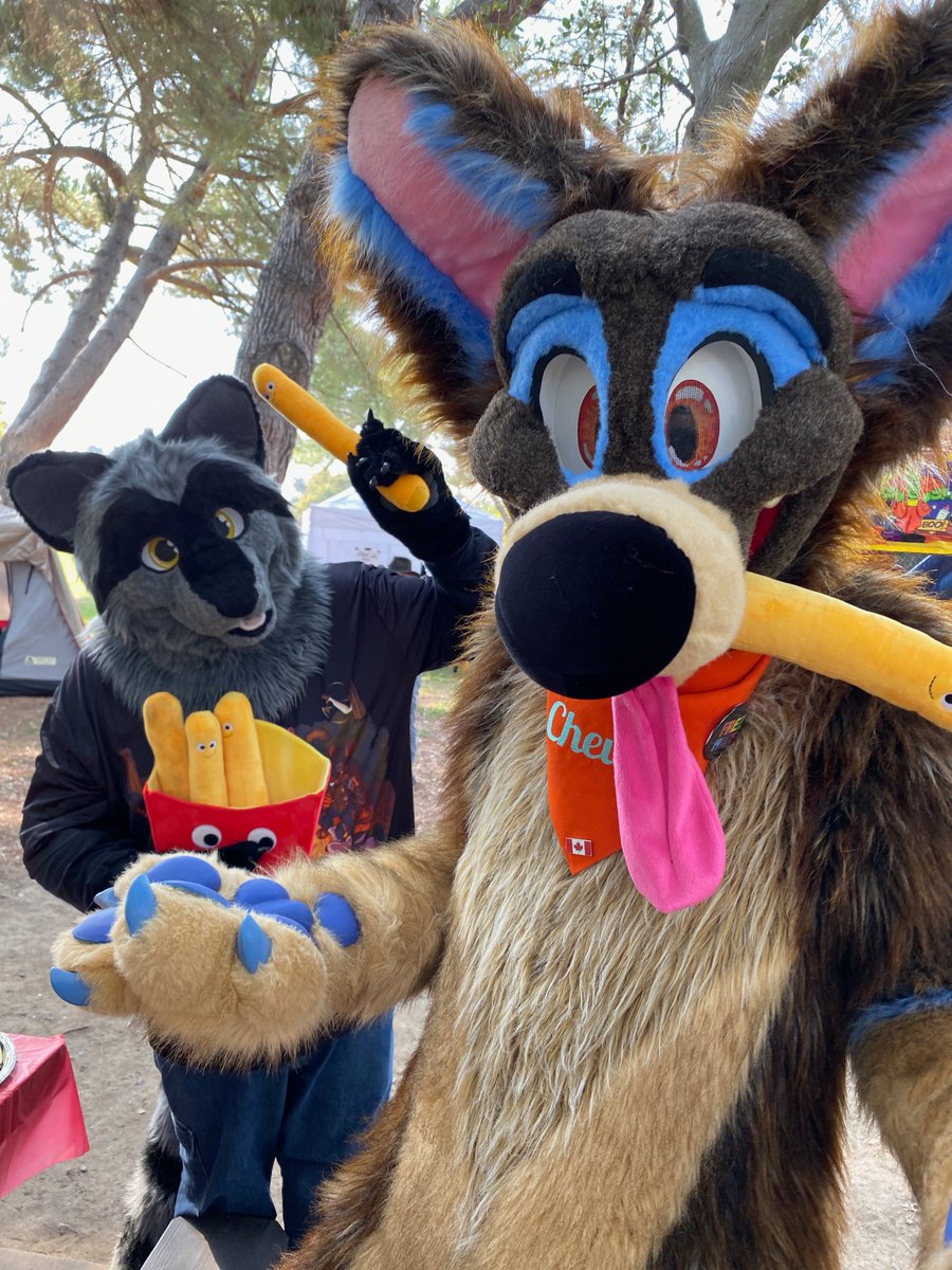 Oh-oh! Caught in the act by <a href="/TrashPandaKuma/">Kuma Raccoon</a>! Can't resist them happy fries!  ;)

<a href="/Sacfurs/">Sacfurs</a> #sacfurrypicnic <a href="/morefurless/">More Fur Less</a> <a href="/FursuitPursuits/">Fursuit Pursuits!</a>  📸: Radjin