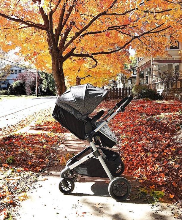 EvenfloBaby's tweet image. Fallin' in love with these colors 🍁🍂

📷: therusticowl on IG

#Evenflo #FallPuns #Foliage #FallStrolls