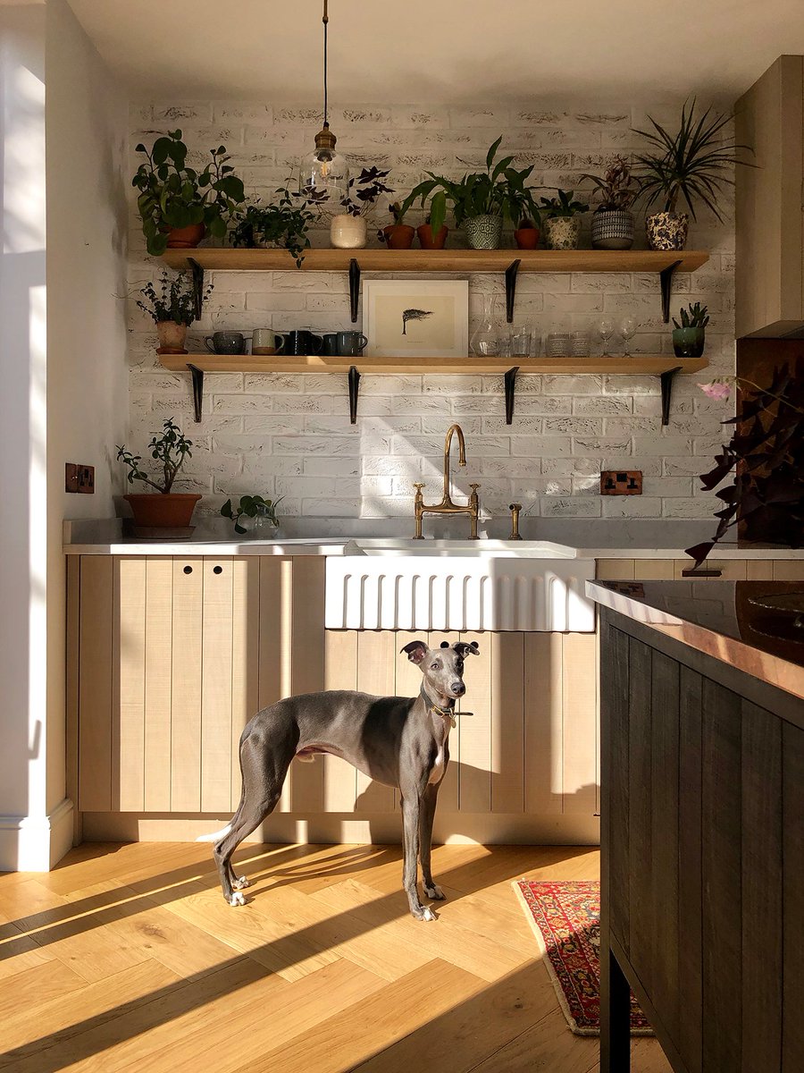 deVOLKitchens's tweet image. #KitchenTour: We recently photographed this lovely kitchen, just a stone's throw from the famous Kew Botanical Gardens. It seemed perfectly fitting that the owners had created their own little urban jungle of potted plants! #SebastianCox #BritishTimber