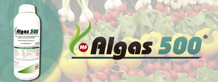 Microfertisa's tweet photo. MF ALGAS 500® promueve el crecimiento y desarrollo vegetativo de las plantas y maximiza la asimilación y utilización de nutrientes en los #Cultivos. #BlogMicrofertisa #CalidadQueGeneraVida #FelizViernes #FelizViernesATodos https://t.co/s1dvmb4wFv