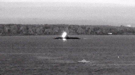 WarshipCam's tweet image. German Navy Type 212 attack submarine coming into Kiel, Germany early this morning - October 18, 2019 #germannavy #submarine #type212