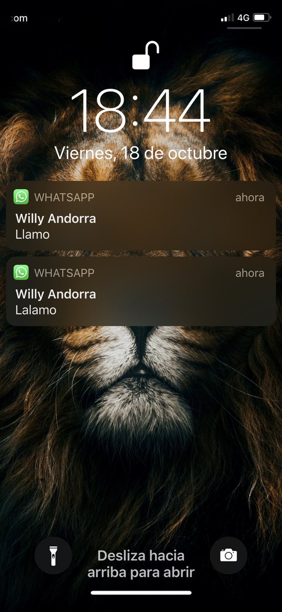 vegetta777's tweet photo. No se si @WillyrexYT me quiere decir algo 😂😂😂 https://t.co/VyOrQkST6T