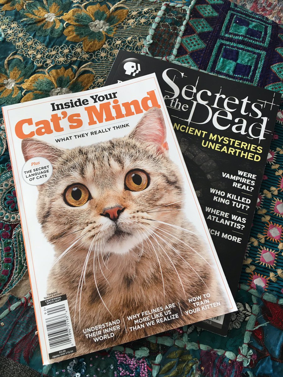 Mishavishamstea's tweet image. Whoever stocks the magazines in the Whole Foods checkout line is IN MY HEAD. I’ll let y’all know what I learn. 
___________
#wellplayed #targetaudience #fuckoffimreading #wholefoodsmarket #misshavishamscuriosities #catlady #butdovampiresexist #thebigquestions #inquiringminds