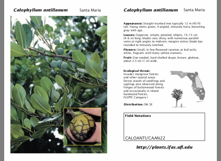 Treasure Coast-CISMA tweet media