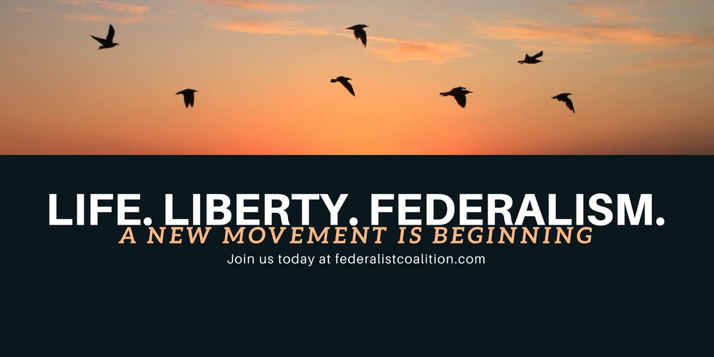 RealFedCo's tweet image. 