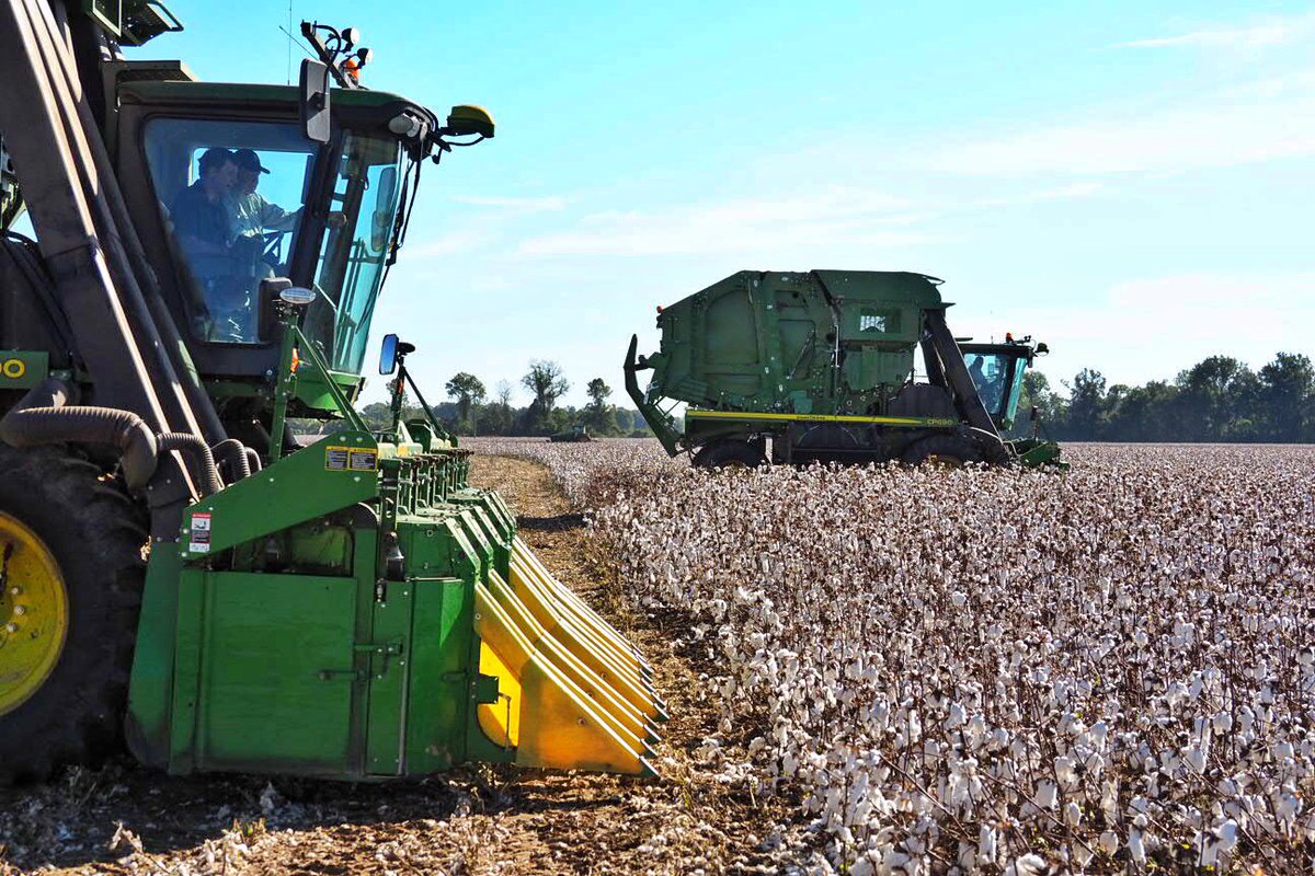 SonnyPerdue's tweet image. Also stopped by a cotton field owned by Pugh Farms. Eugene and his sons are fourth and fifth generation farmers producing cotton, soybeans, corn, wheat and cattle. They let me hop in the combine and pick some cotton myself.