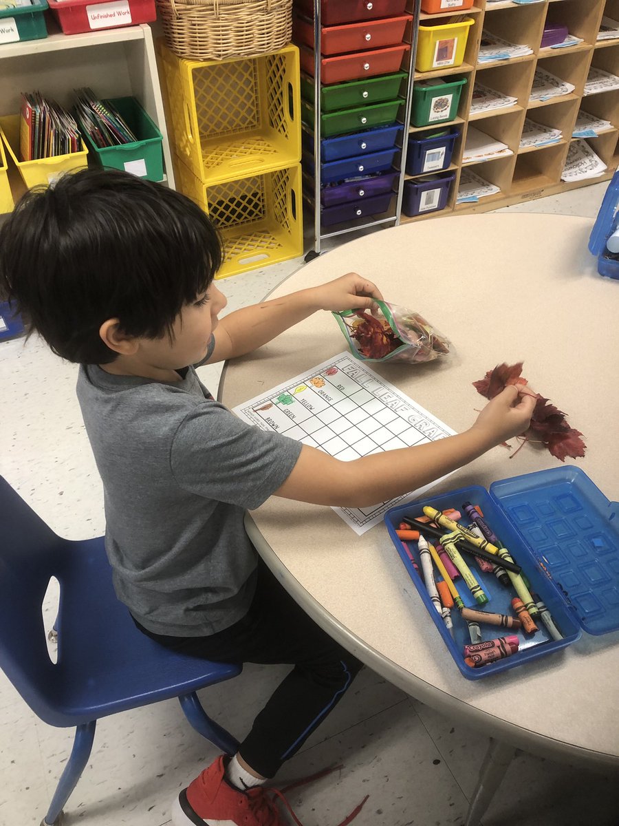 Ms_Sciamanna's tweet photo. And the second part of #FunMathFriday-counting the leaves we collected and graphing them by color 🍂 https://t.co/MxNqVThYXg