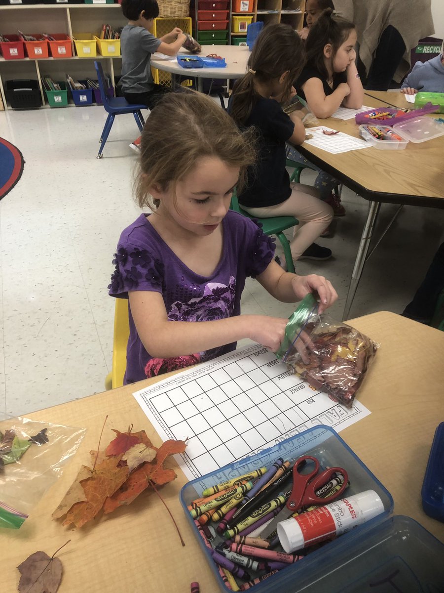 Ms_Sciamanna's tweet photo. And the second part of #FunMathFriday-counting the leaves we collected and graphing them by color 🍂 https://t.co/MxNqVThYXg