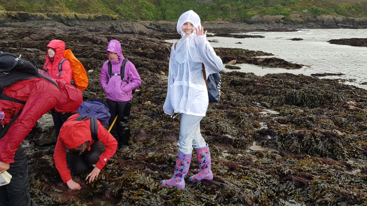 ClareEmbling's tweet photo. Final day of 1st year @PlymUni #MarineBiology &amp; #oceanography field week - surveying the diversity on #Plymouth Mount Batten rocky shore... in challenging weather - still heaps of fun ;) #PlyMBIO https://t.co/WB8g26Nrnb