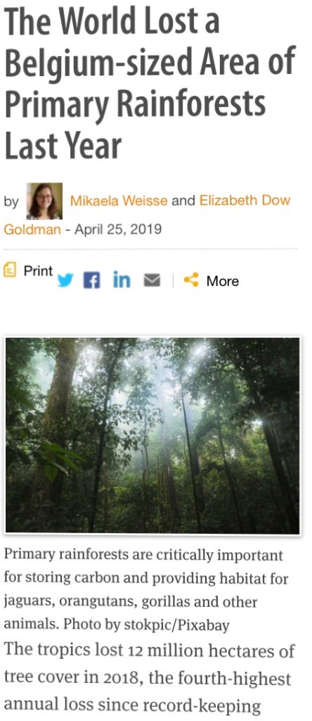 jonahbusch's tweet photo. By 2018, 30 years later, tropical deforestation was 12 million hectares per year—6% higher. 

https://t.co/QXHOBnVxmo

(2/2) https://t.co/KtHkpxvMys