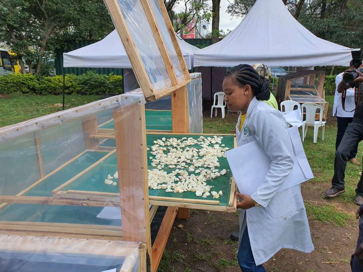 steffi_maingi's tweet image. After a successful training of solar fabrication, ⁦#ebagropamoja⁩ founder displaying the end product of the solar dryer complete with cassava used as demo for dryinh. All this through #EBAFOSA #InnovativeVolunteerism ⁦@RichardMunang⁩  @ebafosauganda
