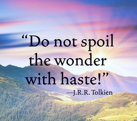 Nell Colbert tweet media