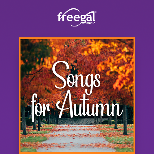 a photograph of falling fall leaves from autumn colored trees