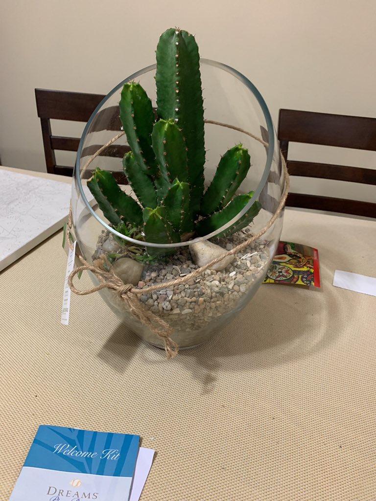 Camila Alvarez tweet media