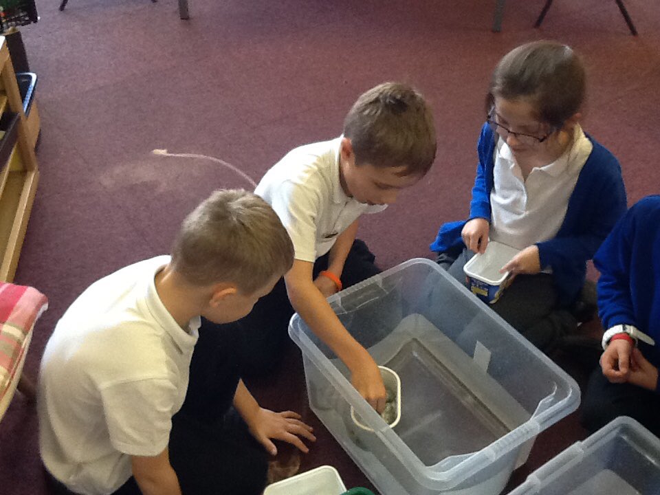 DeltaRowenaAc's tweet image. Today the Science Stars have made margarine tub boats to investigate how much weight they could carry. It was lots of fun! #Sciencestars #scienceisfun