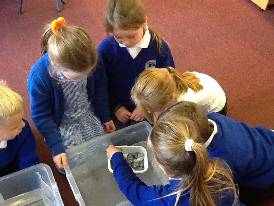 DeltaRowenaAc's tweet image. Today the Science Stars have made margarine tub boats to investigate how much weight they could carry. It was lots of fun! #Sciencestars #scienceisfun