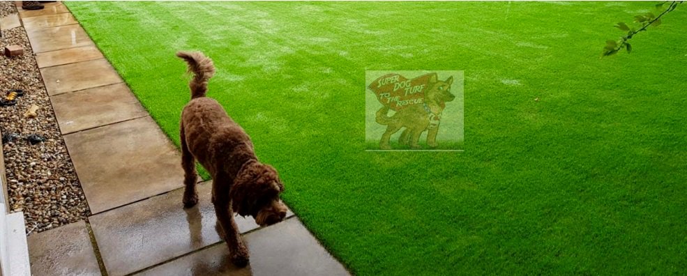 SuperDogTurf's tweet photo. So pleased with our recent dog garden install of SuperDog Turf - see the before and afters. What a difference!. Call today if you are fed up with muddy paws and patchy grass. https://t.co/IjYLSQ6vlw