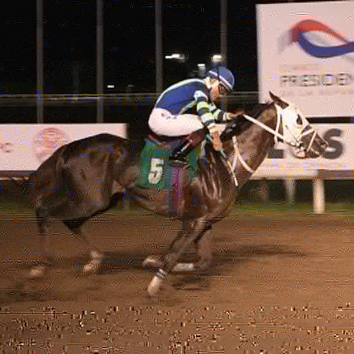 nchtrainer14's tweet image. A Dios gracias y a Mi China otra victoria para el equipo de establo con ABG DANI llevandose el "Handicap Lady Valery" monto Luis Quiroz para el Just Dreams Racing!!!
