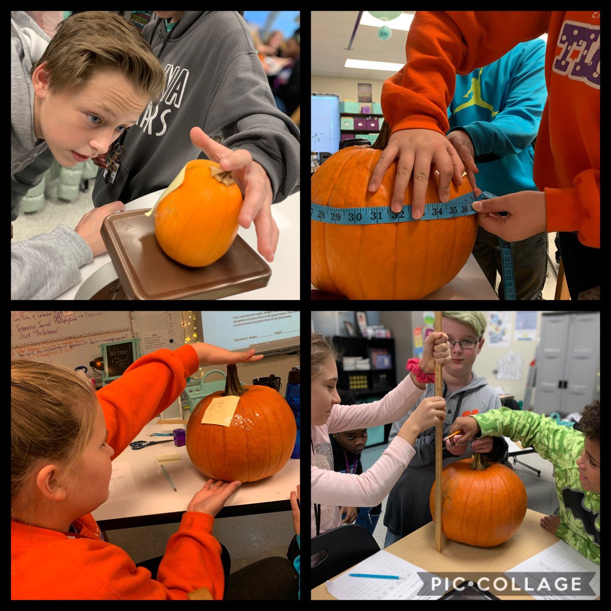 carrieysimpson's tweet photo. Students @RAMiddle_RAMS in @carrieysimpson ‘s math class are collecting fractional data using pumpkins! #pumpkinmath #RAMSinittowinit #RAMSInspire #mathcanbefun @AndersonFive https://t.co/UiAnJ4hJgg