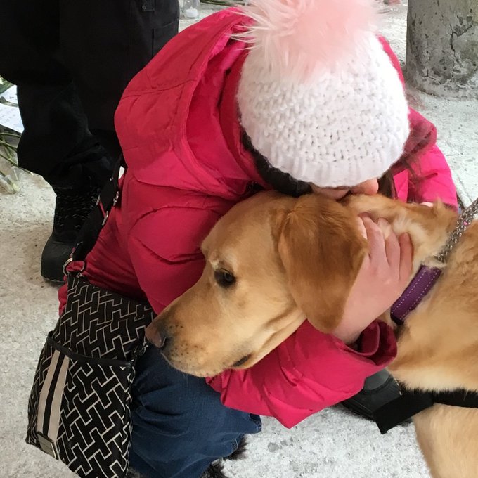 Ottawa Police tweet media