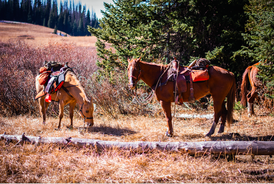 Inergy At Inergysolar Twitter