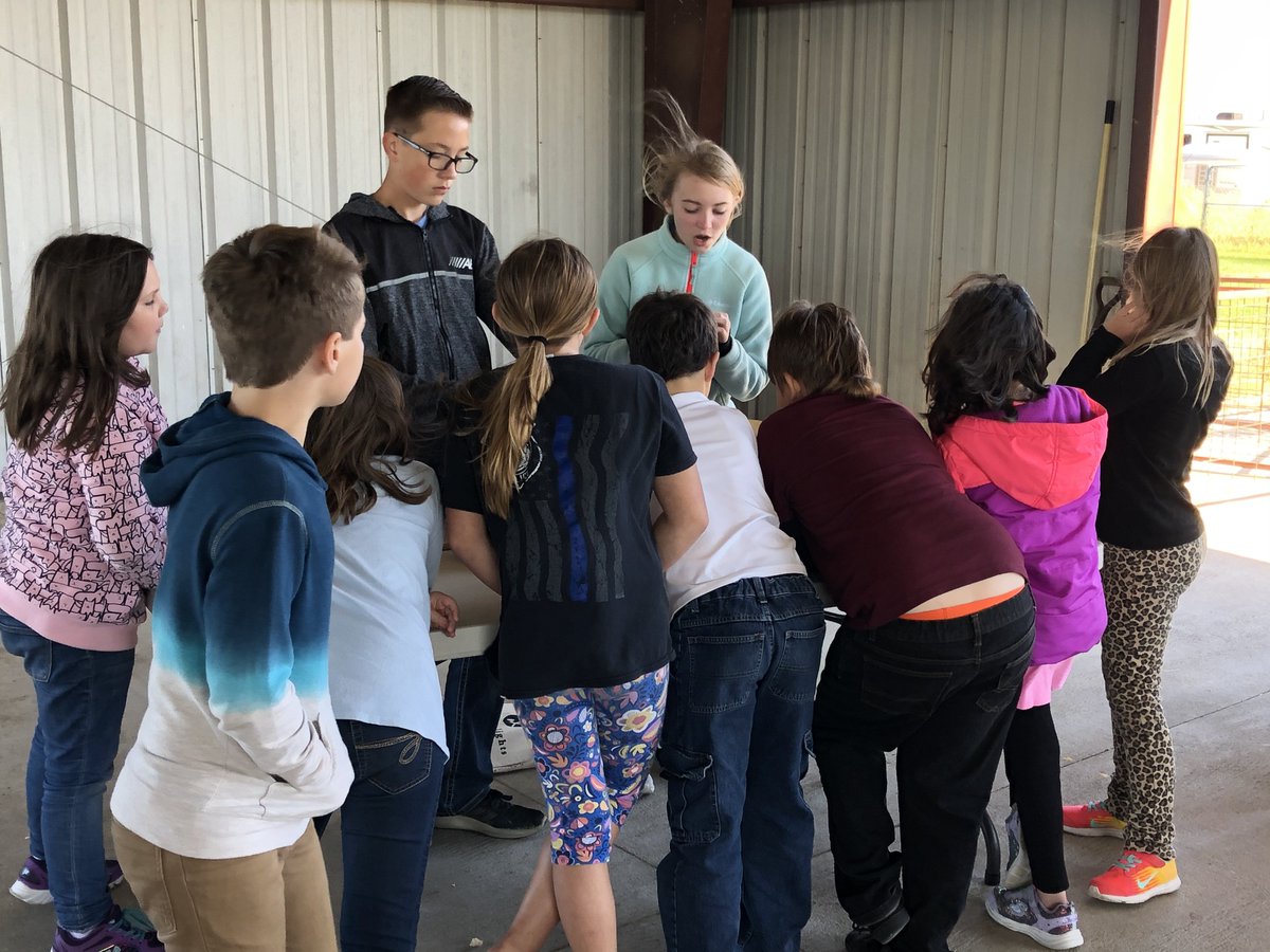 CIScards345's tweet photo. 3rd Graders are enjoying Food for America being presented by members of the Clinton FFA chapter! #FFA #EveryStudentEveryDayWhateverItTakes #FoodForAmerica https://t.co/o0Q2w85tvL
