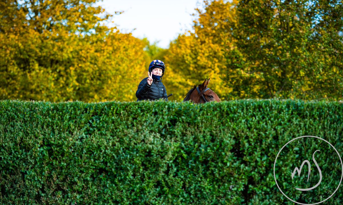 MelanieSauerPh1's tweet photo. Happy Champions Day weekend everyone !!! @Ascot @ChampionsSeries #topclassracing #eliteathlete #horseracing #equinephotography #autumncolours https://t.co/FzNhZNjXLy
