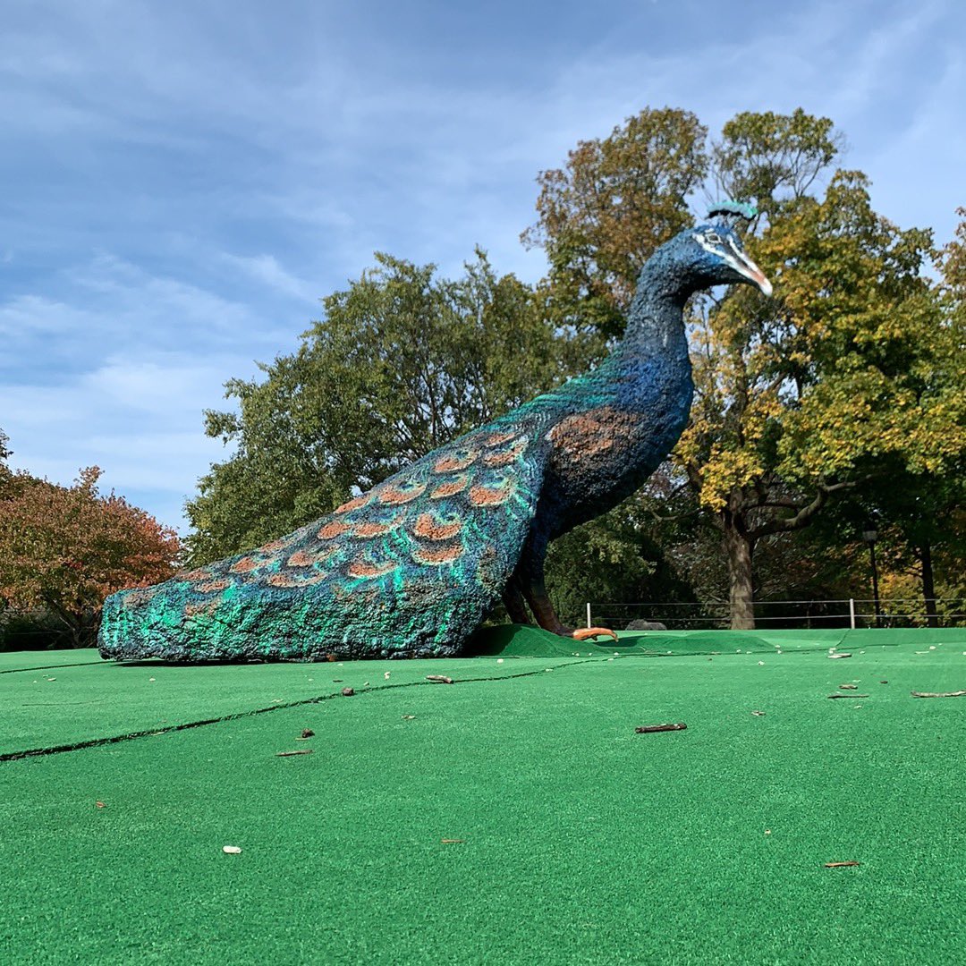 ayerules's tweet image. #BrookfieldZoo