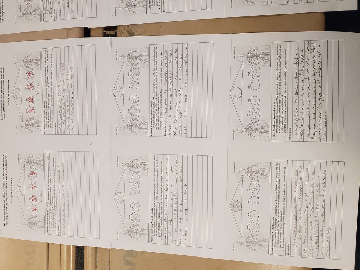 n_beddes's tweet photo. Students' initial models about the biological advantage the Denver Broncos have over the Seattle Seahawks #BioWithBeddes https://t.co/ZqR0RK4MXH
