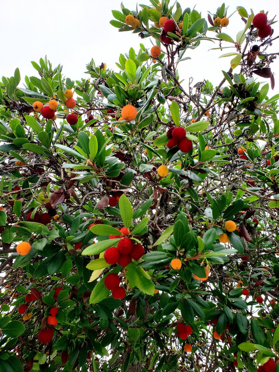 Joie881's tweet image. View after #BarMethod class in place of #stetwalk today.