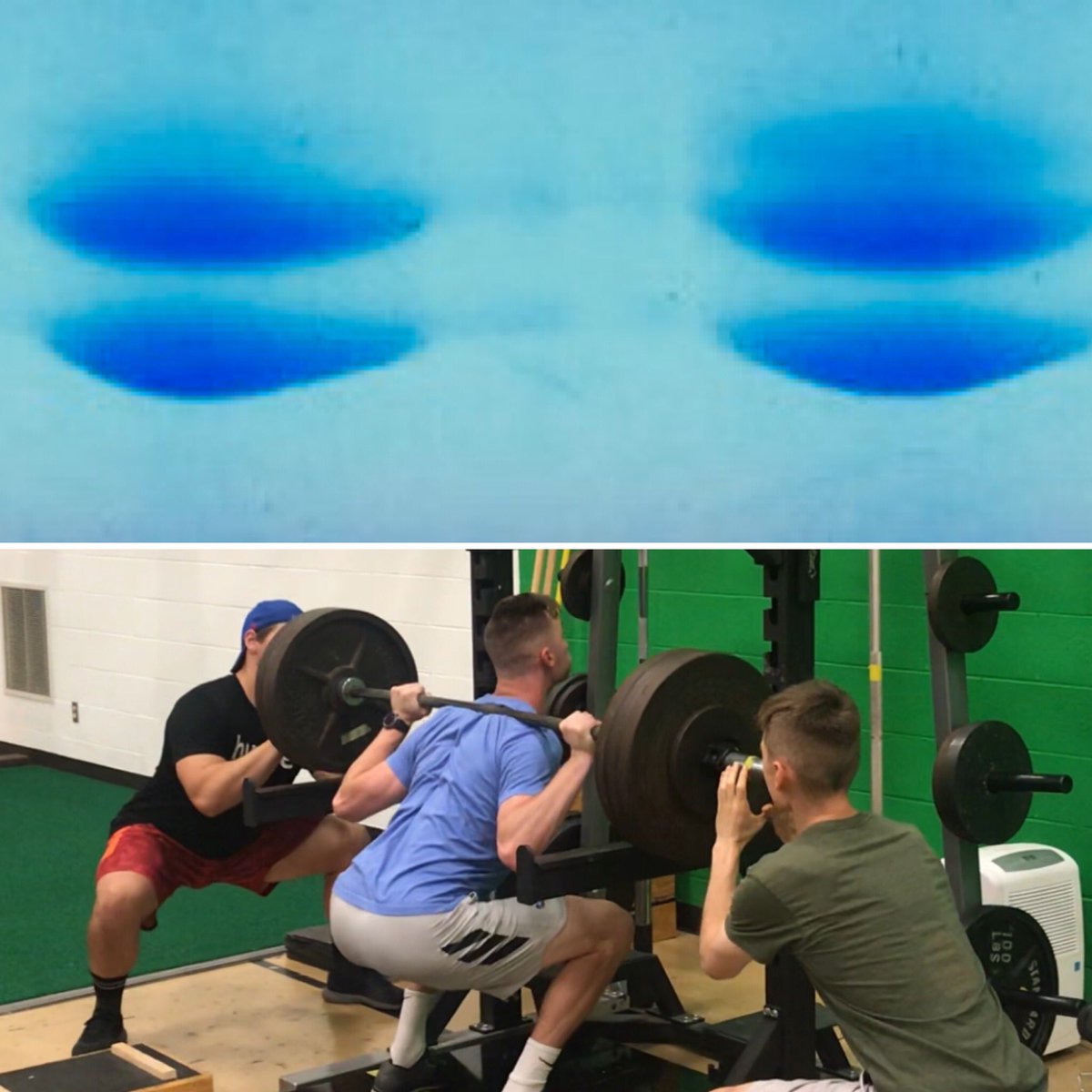 Ahhh... the elusive type IIx #myosinheavychain band (top right).  Nice gel by <a href="/stephsontag/">Stephanie Sontag</a>. So which one (left or right) is from vastus lateralis of a well-trained lifter? #Rockchalk #Jayhawk #JAPL