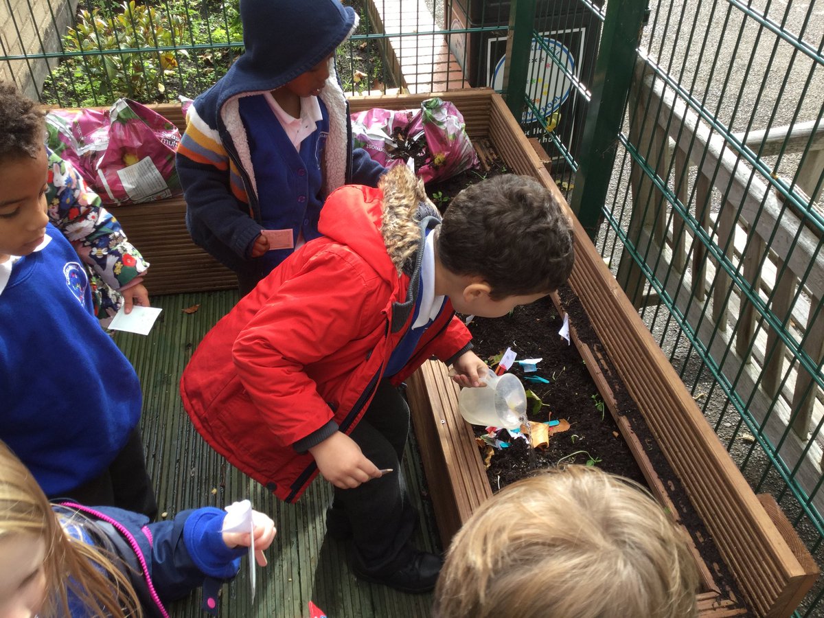 Reception loved visiting the allotment today to see where the yummy vegetables on our school lunches are grown! Then we had a go at planting some seeds in our own garden! @ShacklewellE8 @MissDickinson5 @NatalieH0wlett 🍆🥕🥦🌶 #NWFed