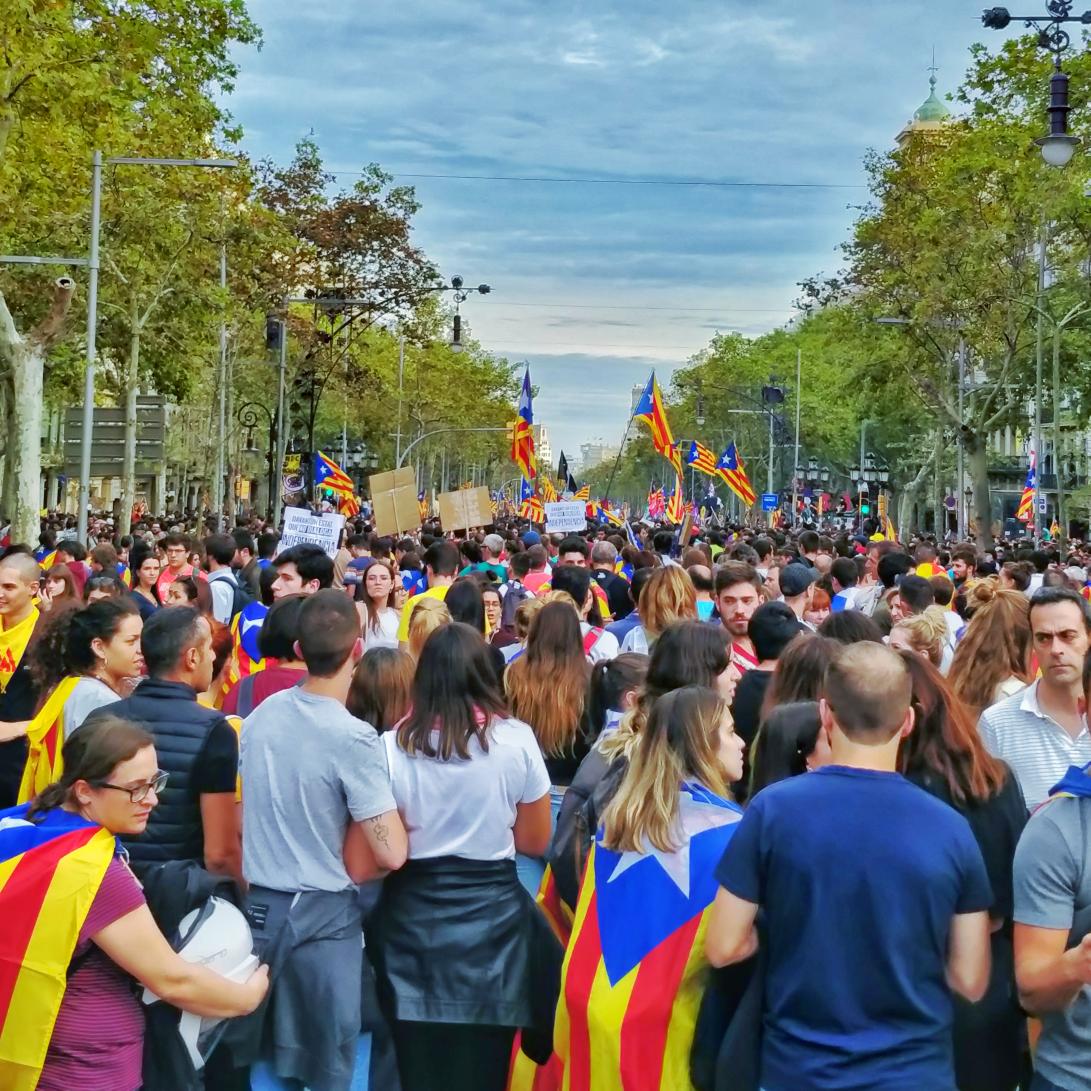 Davant la situació política del país, Escoltes Catalans, l'associació laïca de l'escoltisme català, suspendrà tota la activitat durant el cap de setmana i crida a la mobilització no violenta. 

Contacteu amb el vostre agrupament per conèixer més detalls.

#LlibertatPresosPolítics