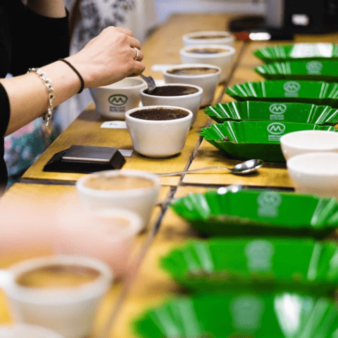 twochimpscoffee's tweet photo. Coffee scoring is the process used to grade all coffees. It's what separates the speciality coffees from the commodity coffees. Visit our blog to see how coffee scoring works!๐๐ #coffeescoring #coffeegrading #qualityscore #specialitycoffee #commoditycoffee #twochimpscoffee https://t.co/c59zfiTwxl