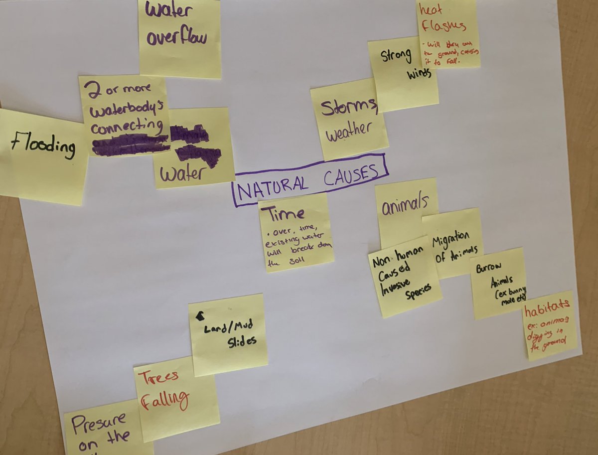 IThinkTogether's tweet image. Perfect way to end the week! 

At the @ISTEM_HDSB @HaltonDSB Advisory Team meeting, we go into the classroom to see... 100 students doing #causalmodels on Ravine Erosion. 

#integrativethinking in action ❤️❤️❤️