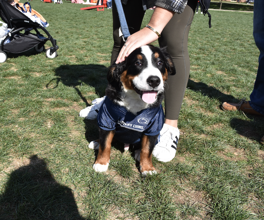 OnwardState's tweet photo. It's a beautiful day to pet a Very Good Boy ☀️🐶 https://t.co/RP2jg7xQxl