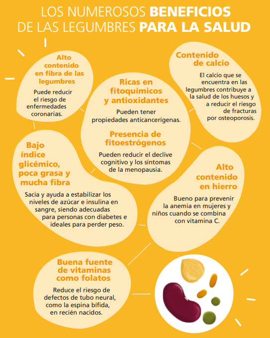 FAOMexico's tweet photo. Conoce los numerosos beneficios de las legumbres para la salud
#Legumbres

#FAOYNutrición
https://t.co/vB8h4lwbFU https://t.co/vs0ASfBEXp