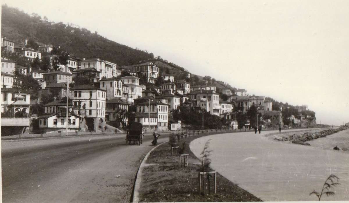 1960 yılında askeri darbe olduğunda Ordu sahilinden geçen Samsun-Trabzon kara yolu daha yeni bitmişti. Kara yolunun yanında sahilde halkın gezip tur atması için kordon düzenlemesi yapılmıştı. Yol ile sahil arasında boyuna bırakılan yeşil hatta çeşitli ağaç fidanları dikilmişti.