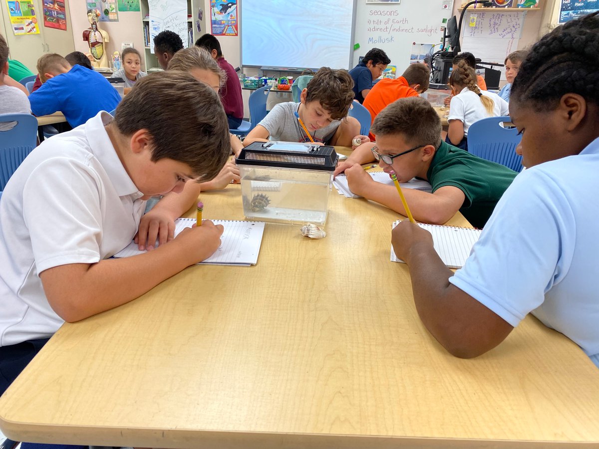 ShellMuseum's tweet image. Busy day at @SanCarlosPkEle! Who knew mollusk anatomy could be so interesting?