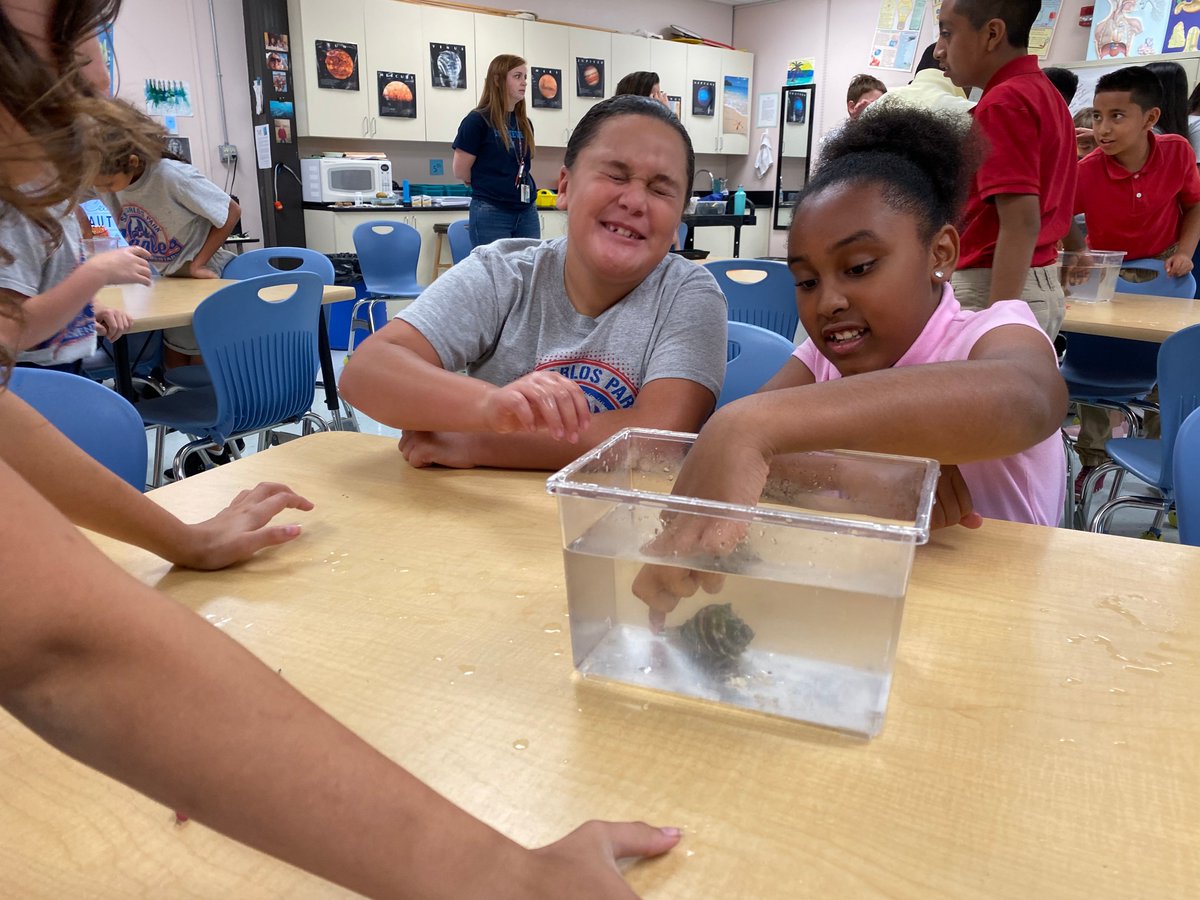 ShellMuseum's tweet image. Busy day at @SanCarlosPkEle! Who knew mollusk anatomy could be so interesting?
