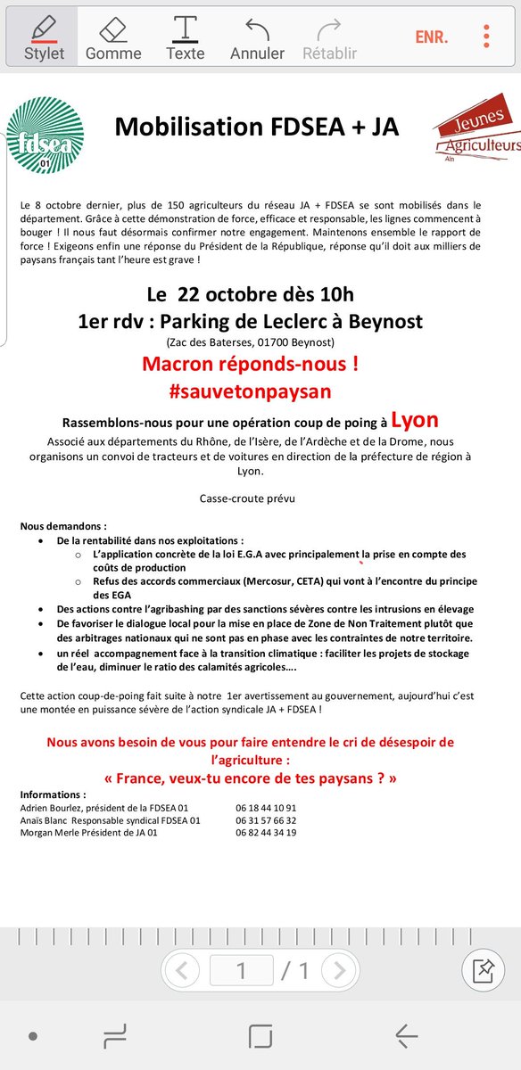 Morgan Merle tweet media