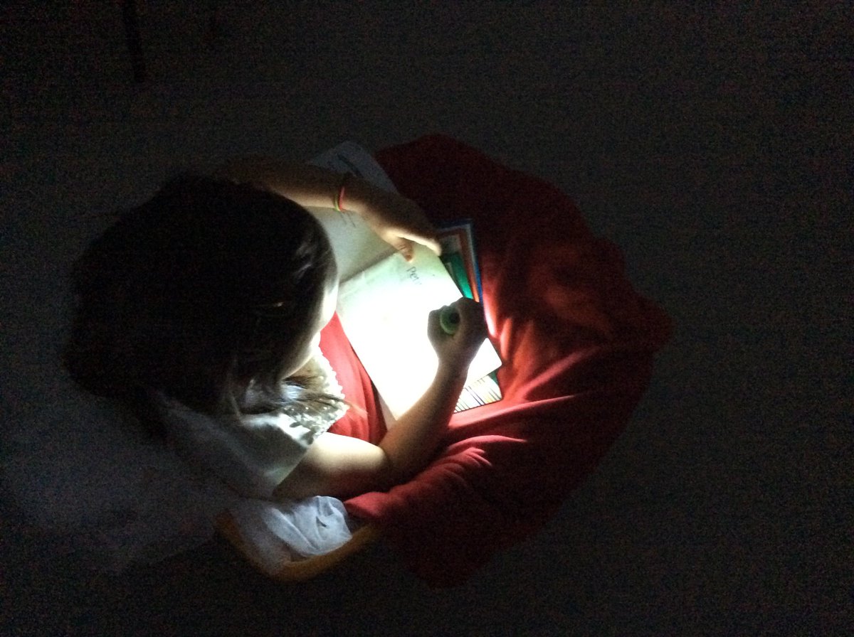 It's Flashlight Friday! We got cozy with blankets and pillows, in bins and under tables and we READ!