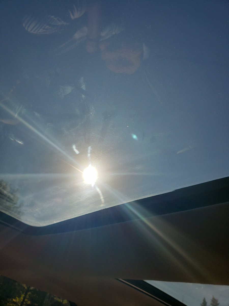 IlimaIRL's tweet photo. You Welcome!
We Brought the Sun!
#CultureofHealth
#IRLMN19 https://t.co/7w0saXl4Yk