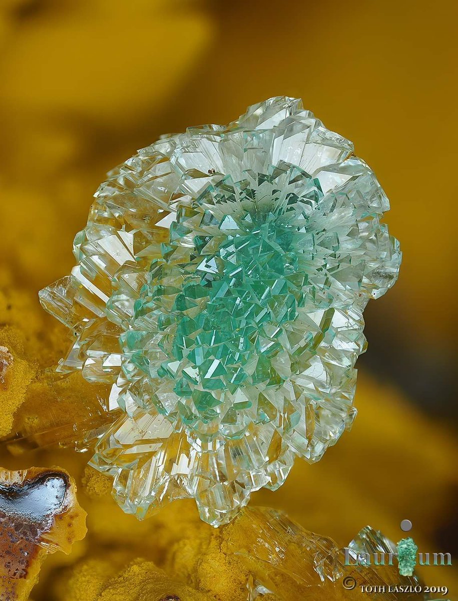 maryloranton34's tweet image. #Adamite from Hilarion Mine, Kamariza Lavrio, #Greece. 🇬🇷
Coll: Hercules Katsaros. FOV:2,5mm vertical.
Credit: Tóth László ©