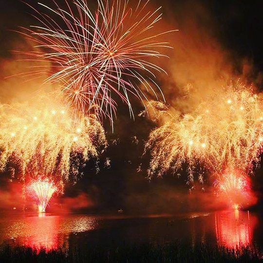 FIREWORK_EMPIRE's tweet photo. https://t.co/Y6A8lIl5Ki