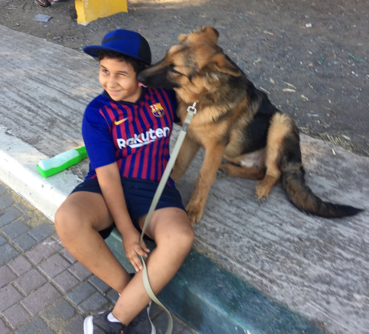 SayidSaad's tweet photo. Écoutes maître :J’ai grandi .chuchote Rocky. https://t.co/eclVZ8yCWj