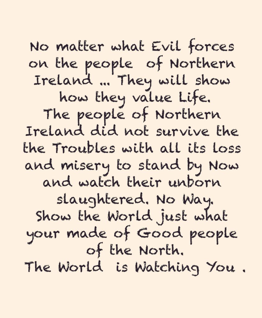 RockofLifeNI's tweet photo. #Demandstormont #SaveOurLaws #FightBackCampaign #NOT4NI #RecallStormont https://t.co/FH77LscjO8