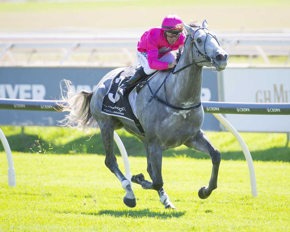 The Copper's Ascot - Group 3 Northerly Stakes day tips have landed.

thecopper.com.au/the-form/