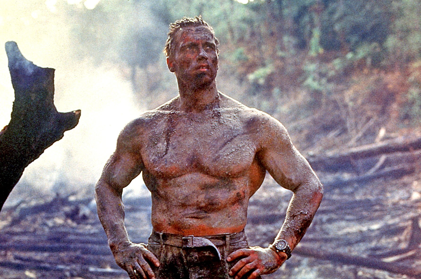 That S Movie Talk 10 放映21 00 Bstbs プレデター Predator 1987 あらすじ T Co Ukpa7s9jnd 謎の異星人に立ち向かうコマンド部隊の戦いを描く 監督 ジョン マクティアナン 主演 アーノルド シュワルツェネッガー カール ウェザース