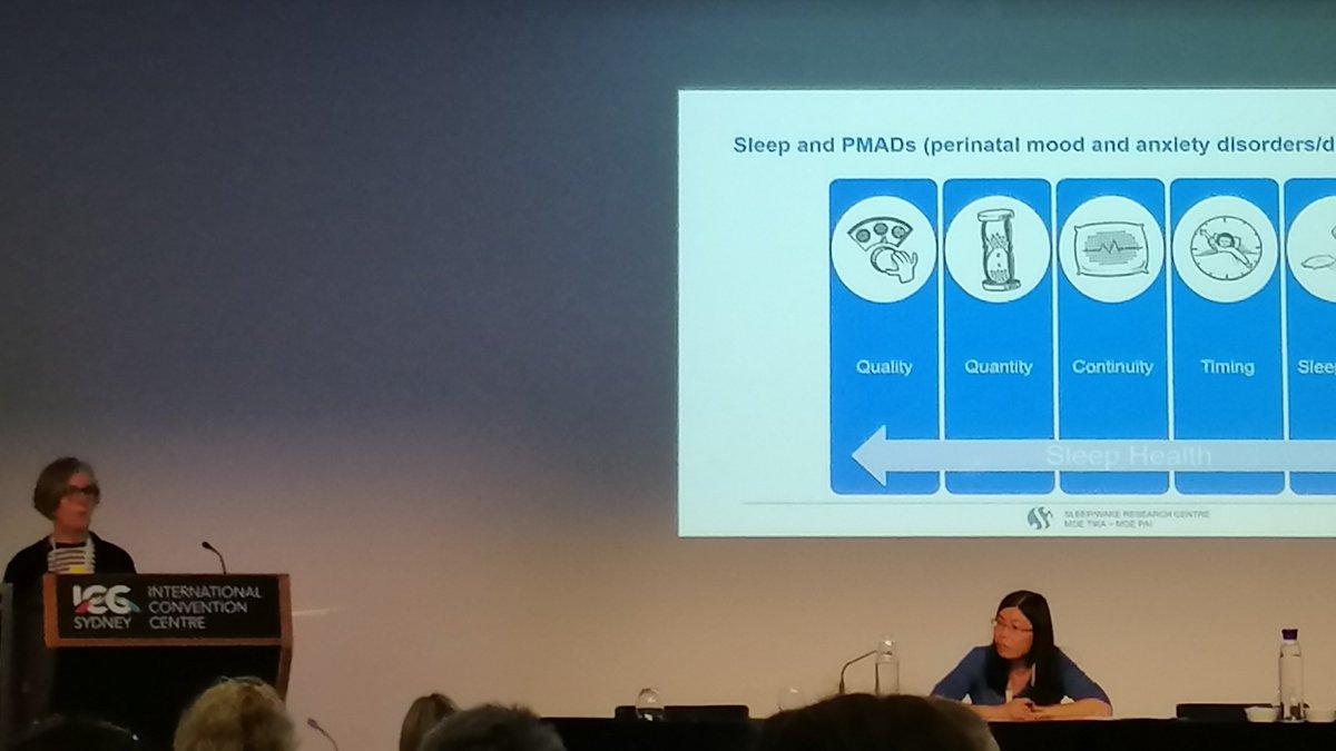 RosieGibsMoul's tweet photo. @swrc_nz @MasseyUniHealth @BeiSci @yusunbin @LittleTLS @minorchanges Bronwyn Sweeney of @swrc_nz shares observations and an #intervention for #sleep and #mood of #postpatum #women @minorchanges #SDU19 #SDU2019 https://t.co/CsQd3I7feH